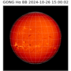 gong - 2024-10-26T15:00:02