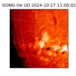 gong - 2024-10-27T11:00:02