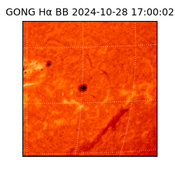 gong - 2024-10-28T17:00:02