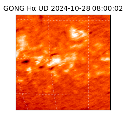 gong - 2024-10-28T08:00:02