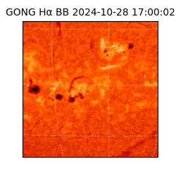 gong - 2024-10-28T17:00:02