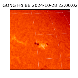 gong - 2024-10-28T22:00:02