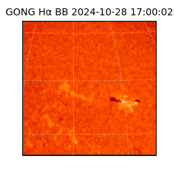 gong - 2024-10-28T17:00:02