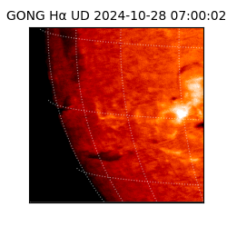 gong - 2024-10-28T07:00:02