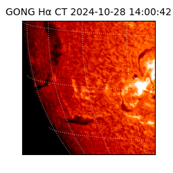 gong - 2024-10-28T14:00:42