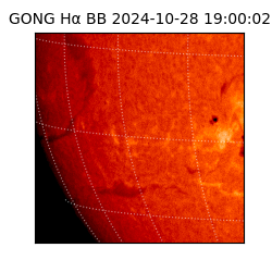 gong - 2024-10-28T19:00:02