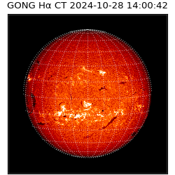 gong - 2024-10-28T14:00:42