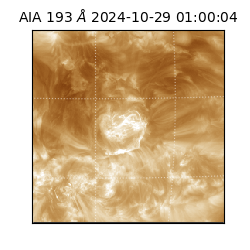 saia - 2024-10-29T01:00:04.835000
