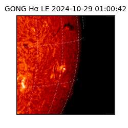 gong - 2024-10-29T01:00:42