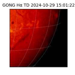 gong - 2024-10-29T15:01:22
