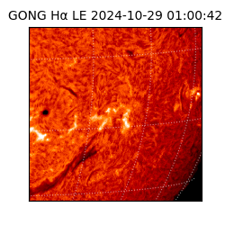 gong - 2024-10-29T01:00:42