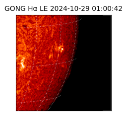 gong - 2024-10-29T01:00:42