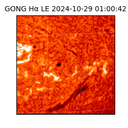 gong - 2024-10-29T01:00:42