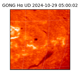 gong - 2024-10-29T05:00:02