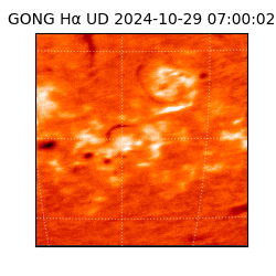 gong - 2024-10-29T07:00:02