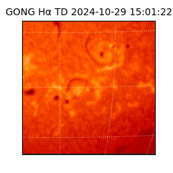 gong - 2024-10-29T15:01:22
