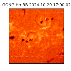gong - 2024-10-29T17:00:02