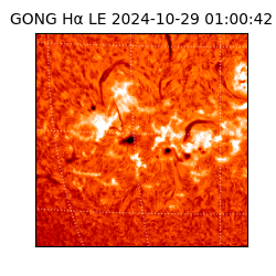 gong - 2024-10-29T01:00:42