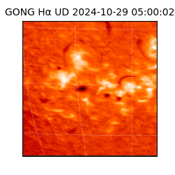 gong - 2024-10-29T05:00:02