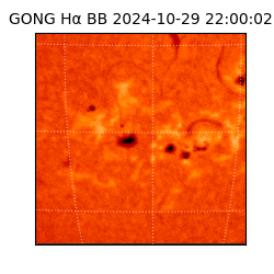 gong - 2024-10-29T22:00:02