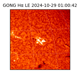 gong - 2024-10-29T01:00:42