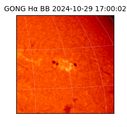 gong - 2024-10-29T17:00:02