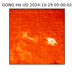 gong - 2024-10-29T05:00:02