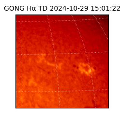 gong - 2024-10-29T15:01:22
