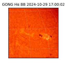 gong - 2024-10-29T17:00:02