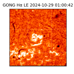 gong - 2024-10-29T01:00:42