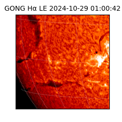 gong - 2024-10-29T01:00:42