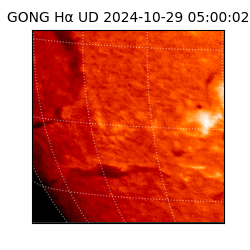 gong - 2024-10-29T05:00:02