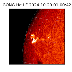 gong - 2024-10-29T01:00:42