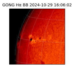 gong - 2024-10-29T16:06:02