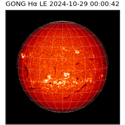 gong - 2024-10-29T00:00:42