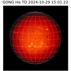 gong - 2024-10-29T15:01:22
