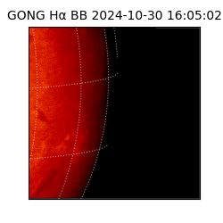 gong - 2024-10-30T16:05:02