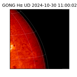 gong - 2024-10-30T11:00:02