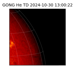 gong - 2024-10-30T13:00:22