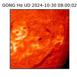 gong - 2024-10-30T08:00:02