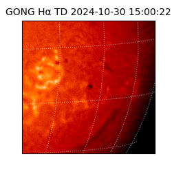 gong - 2024-10-30T15:00:22