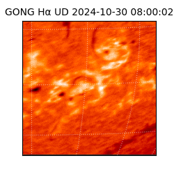 gong - 2024-10-30T08:00:02