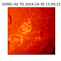 gong - 2024-10-30T15:00:22
