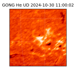 gong - 2024-10-30T11:00:02