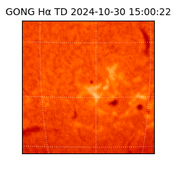 gong - 2024-10-30T15:00:22