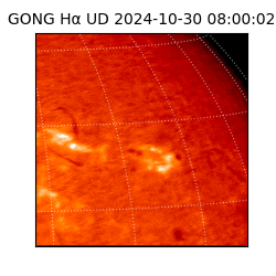 gong - 2024-10-30T08:00:02