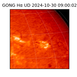 gong - 2024-10-30T09:00:02