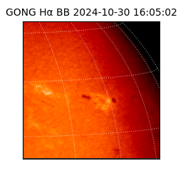 gong - 2024-10-30T16:05:02