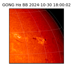 gong - 2024-10-30T18:00:02