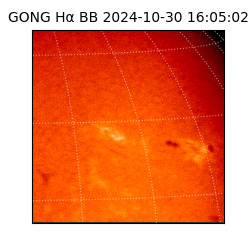 gong - 2024-10-30T16:05:02
